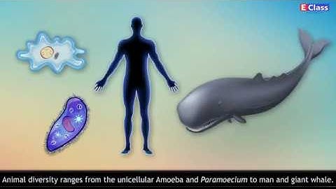 Std 10, English Medium, Sci 2, chp 01 - Heredity and Evolution, Maharashtra Board (updated syllabus)