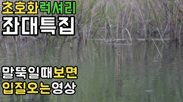 충북 괴산 초호화 럭셔리 좌대 특집! 밤새낚은 엄청난 조과공개!