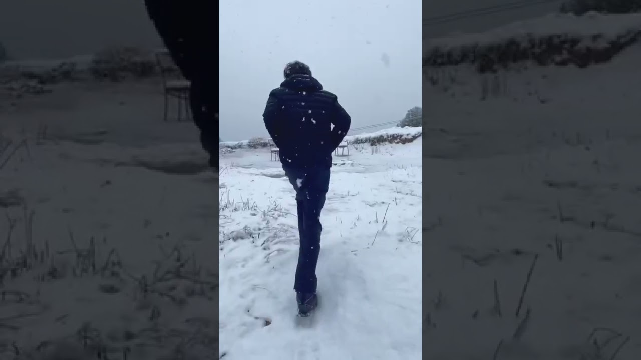 Snow fall at Barot valley ❄️