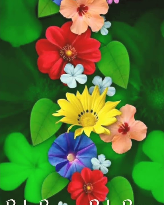 Rella punga rella punga Rela wayut son