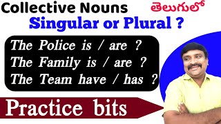 Collective nouns -Singular  or Plural  Practice bits on Collective Nouns@Murthysir
