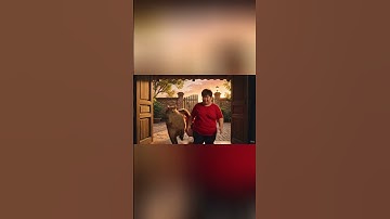 Capybara và chiếc bánh kem chúc mừng 20/10 #capybara