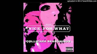 Drake - Nice For What (Mr. Collipark Remix) (Dirty) screenshot 3