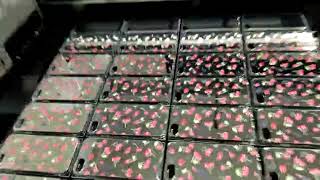 JETVINNER Automatic 6090 A1 UV Printer Video 2