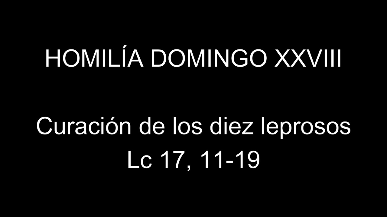 homilia domingo 28 - YouTube