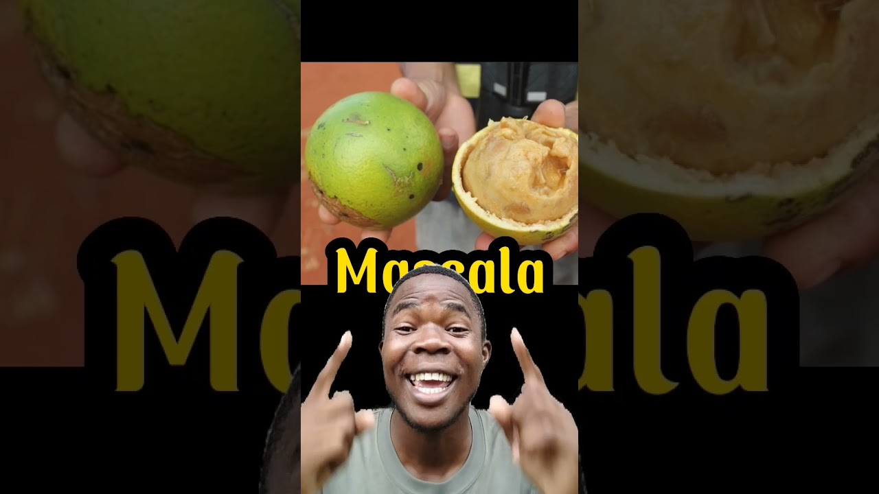 Frutas Áfricanas que não existem no Brasil #brazil #frutas #moçambique