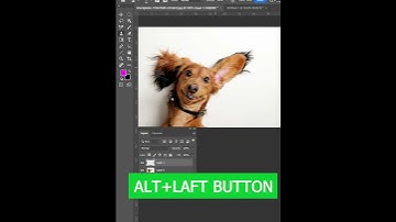 How To Use Clone Stamp Tool #shorts #photoshop