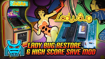 Arcade Game Classic: Lady Bug (1981 Universal) Restore & High Score Save Kit Mod