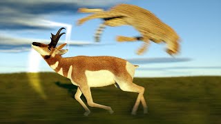 Americas Secret Top Tier Animal