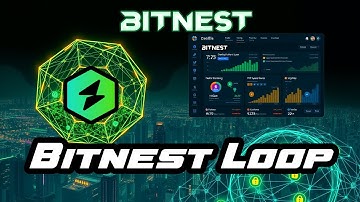 BITNEST | BITLOOP  Todo lo que debes saber!!