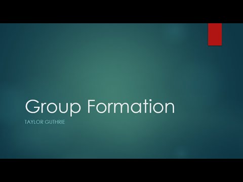Group Dynamics: What