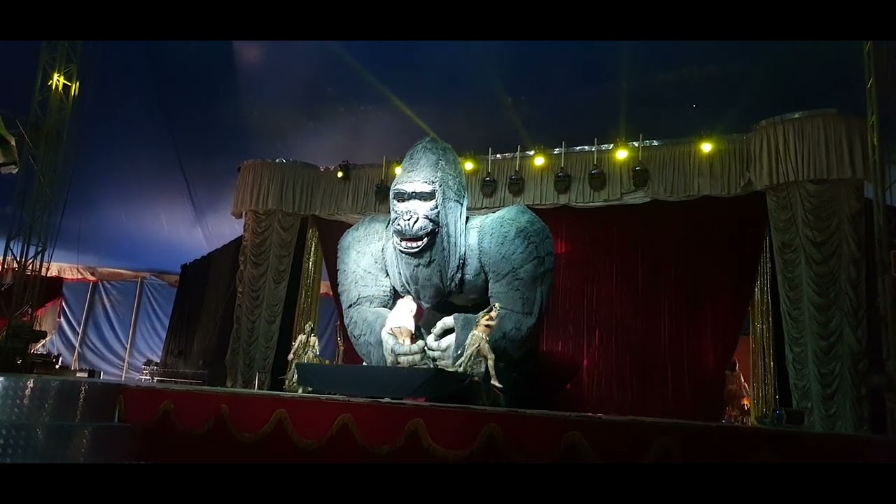 King Kong - Circo Portugal