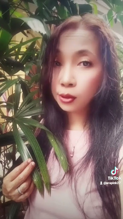 Cinta Kasihku _ Evie Tamala               #arapink #lipsinglagu