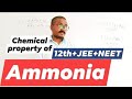 chemical property of ammonia