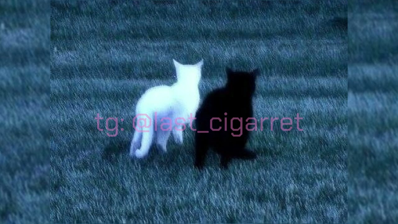 Lil Peep, rainy bear – nuts (ultra slowed x reverb)