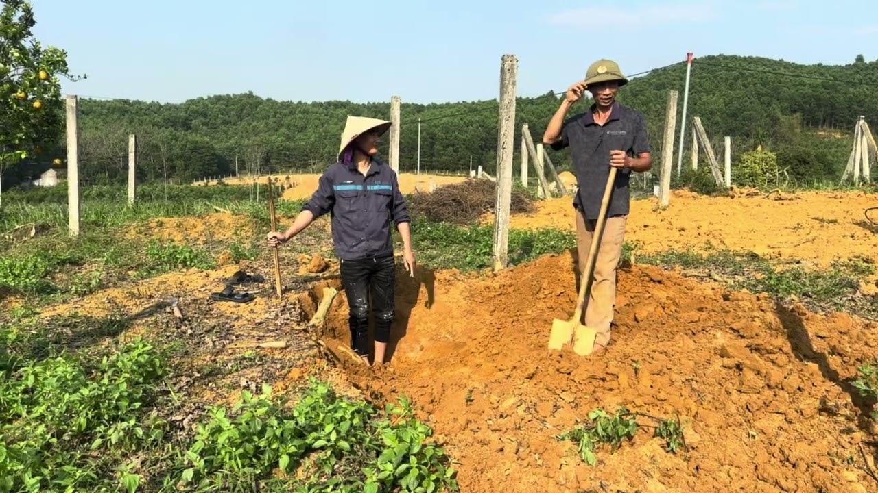 Quá Tuyệt Vời Khi mà Sản phẩm bột sắn Dây Chuẩn thơm ngon 