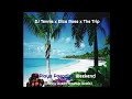 DJ Tennis X Eliza Rose X The Trip Playa Paradiso Weekend Johnny Ocean MashUp Remix mp3