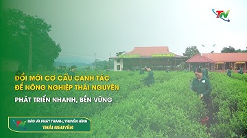 Đổi mới cơ cấu canh tác để nông nghiệp Thái Nguyên phát triển nhanh, bền vững