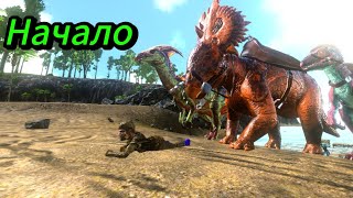 :      | Ark Mobile |