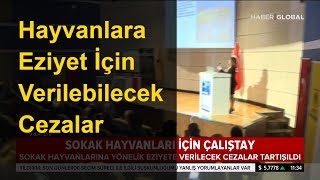 Hayvanlara Eziyet İçin Verilebilecek Cezalar
