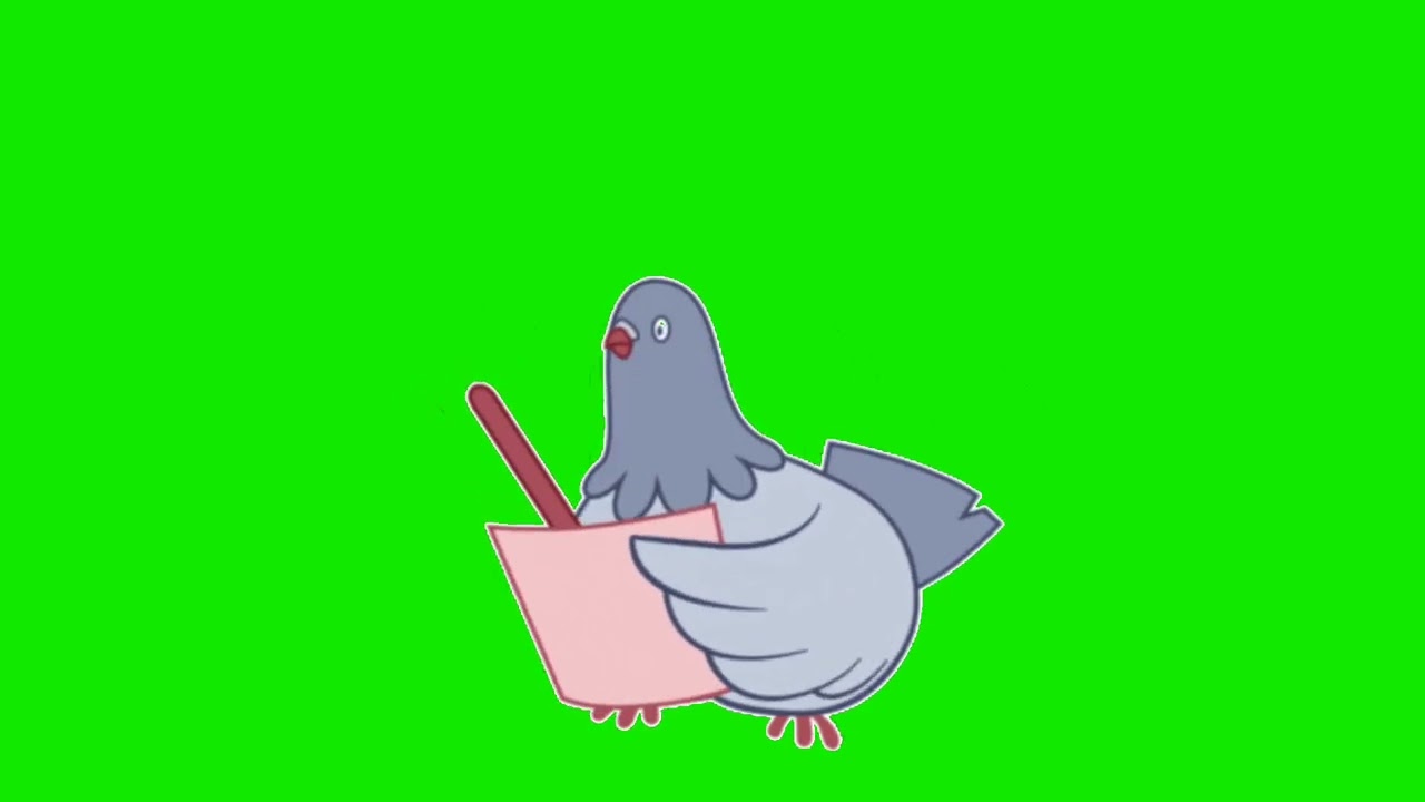 pigeons animated cartoon green screen video for youtubers copyright free to use