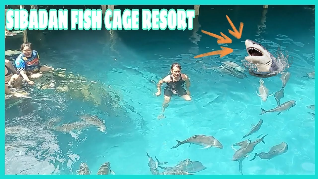 Sibadan Fish Cage Resort | Hinatuan Surigao Del Sur
