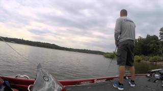 Hydrowave