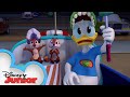 Nutty Movie Madness | Chip 'N Dale Nutty Tales  | Disney Junior