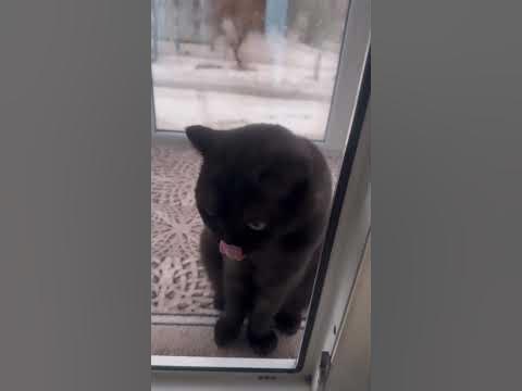 какого числа 8 марта