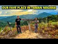 Kuala Tahan town + chalet tour & OUR FAVOURITE HIKE - Taman Negara, Pahang - MALAYSIA TRAVEL VLOG
