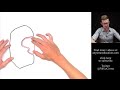 Understanding the Induced Fit Model of Enzyme Action