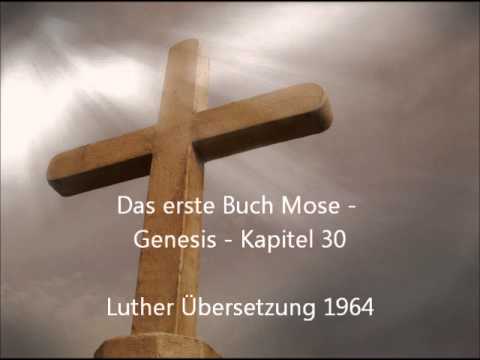 das-erste-buch-mose---genesis---kapitel-30-[luÜ]