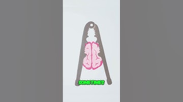 Deja Vu: How Your Brain Plays Tricks on You!