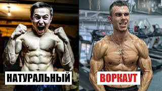 Натуральный воркаут! Накачать мышцы на турниках и брусьях РЕАЛЬНО?