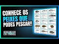 Conhece os peixes que podes pescar, tabela grátis para download.