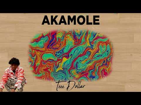 Teee Dollar AKAMOLE Lyrics Video
