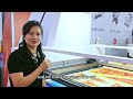 The intruction of Dowin fabric laser cutting machine with camera