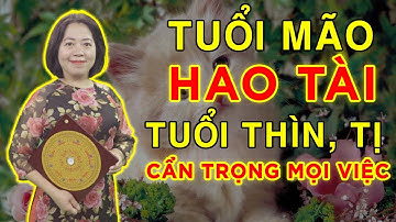Tử Vi Hàng Ngày - Tử vi ngày 25/03: Tuổi Mão hao tài ,Thìn, Tị ngày không tốt, cẩn trọng mọi việc