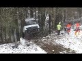 [Aufwendige Bergungsarbeiten] LKW steckt nach 50 Meter Absturz im Wald fest