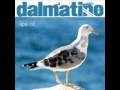 Dalmatino 2008-Bura okrice