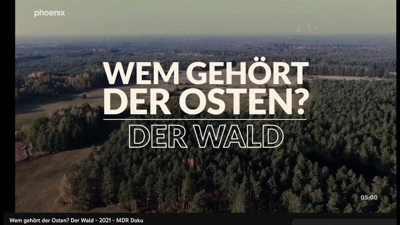 Wem gehört der Osten?  Der Wald  - 2021 - MDR Doku - Naturerbe, Sehnsuchtsort, Spekulationsobjekt