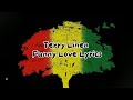 Terry Linen Funny Love Lyrics 
