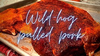 Pulled pork: Wildhog pork shoulder