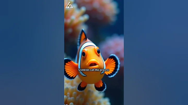 The Clownfish That Can Change Gender 🐠 | #shorts #facts @Marinelifesecrets