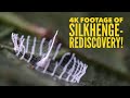 First Ever 4k footage of Silkhenge! The Return to Silkhenge Island