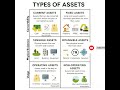 TYPES OF ASSETS #taxaudit #education