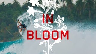 In Bloom: Leo Fioravanti Part 2