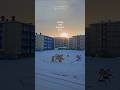 21.02.26, Норильск