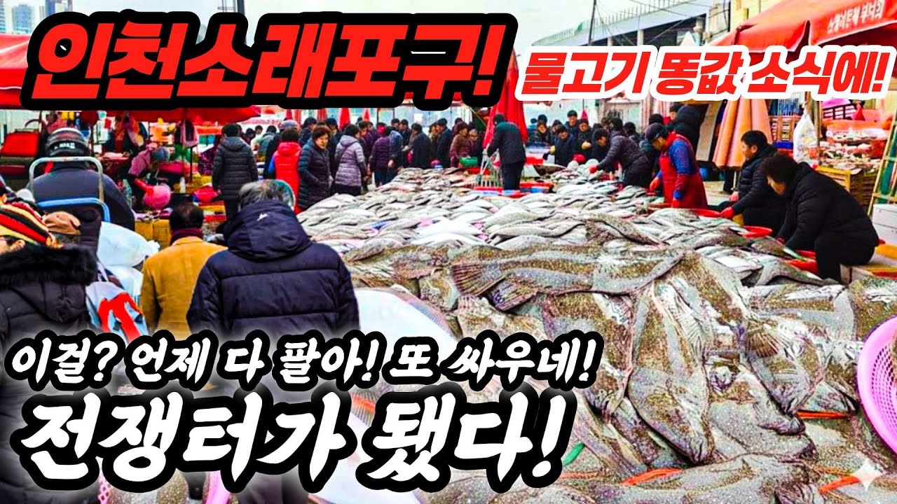 인천소래포구 물고기 똥값 소식에! 또 싸우네! 전쟁터가 됐다! #인천소래포구 #food #수산물 #강원도 #제주도 #바가지 #fishing #중국산 #국내산 #폭락 #쇼핑 #세일
