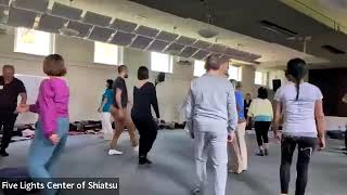 Healing Through Movement, Self-Shiatsu, & Five Elements by Ori Flomin | 2026 Shiatsu Summit